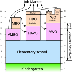 Diagrama de los niveles de educación en los Países Bajos