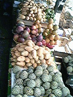 Fruta tropical