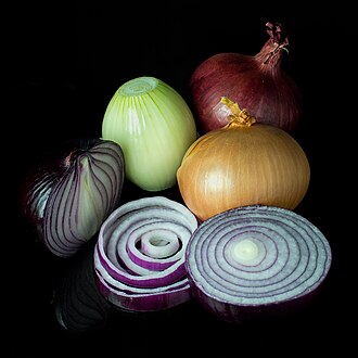 Variedades de bulbos de cebolla en exhibición