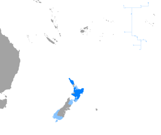 Mapa conceptual y detalles generales de la familia lingüística del idioma maorí
