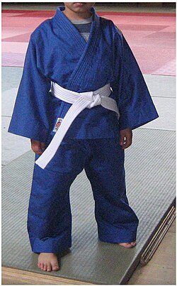 Niño vestido con un judogi azul y obi blanco