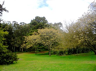 Vista del Parque Miguel Lillo