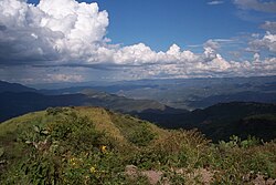 Paisaje boscoso característico de la Sierra Madre Occidental