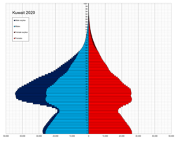 Pirámide demográfica de Kuwait