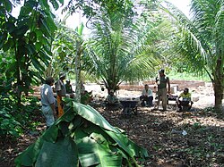 Producción de compost en Santa Teresa