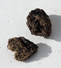 Excrementos de conejo