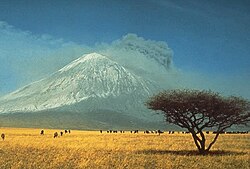 Paisaje de sabana con árboles dispersos y pastizales