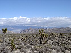 Paisaje desértico típico que rodea el área urbana de Las Vegas