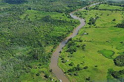 Zona del Amazonas