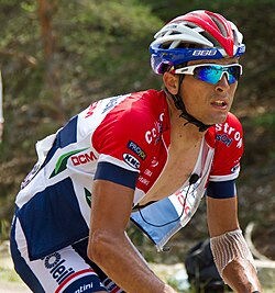Johnny Hoogerland en 2013