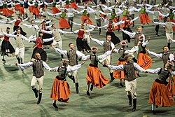 Festival de la Canción y la Danza