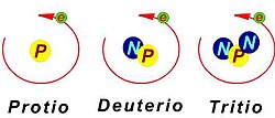 Esquema comparativo de los núcleos de los isótopos del hidrógeno.