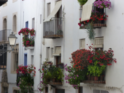 Casas tradicionales junto al puerto