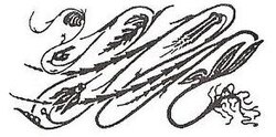 Diseño Cyclamen de Hermann Obrist