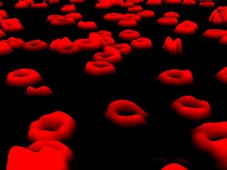 Eritrocitos o glóbulos rojos portadores de hemoglobina