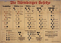 Esquema ilustrativo de las Leyes de Núremberg de 1935 basadas en el racismo científico.