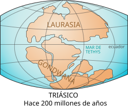 Representación esquemática de la separación temprana entre Laurasia y Gondwana.