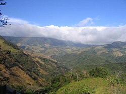 Selva lluviosa degradada en Monteverde, Costa Rica