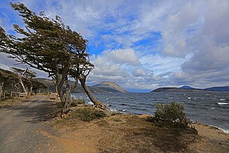 Vista panorámica del Lago Blanco