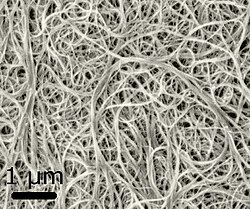 Imagen de microscopía electrónica de barrido mostrando nanotubos de carbono.