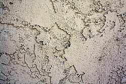 Detalle de una pared residencial enlucida con estuco.