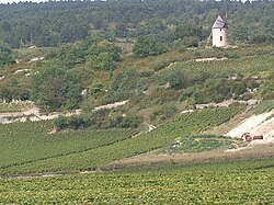 Paisaje rural con viñedos, molino y bosque en Borgoña