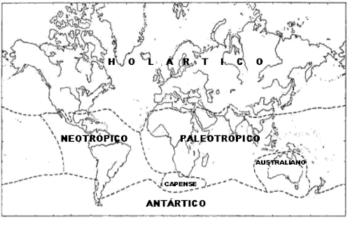 Animación paleogeográfica relacionada con la tectónica de placas.