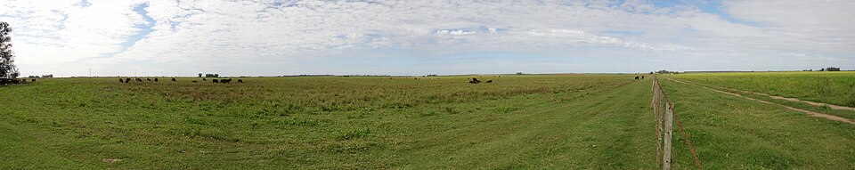 Pradera característica de La Pampa