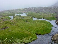 Nacimiento de fuentes de agua en el Nevado de Santa Isabel.