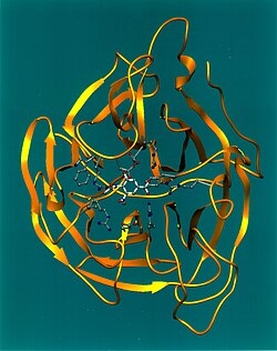 Representación tridimensional de la neuraminidasa