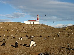 Faro de la Isla Magdalena