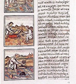 Folio del Códice Florentino escrito en náhuatl