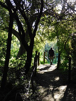 Actividad en contacto con la naturaleza en un espacio natural urbano