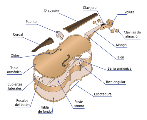 Diagrama anatómico de las distintas partes que componen un violín.