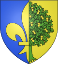 Representación cartográfica o escudo histórico