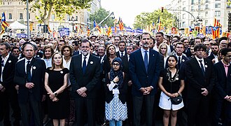 Manifestación No tinc por