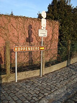 Ambiente durante la carrera en el Koppenberg