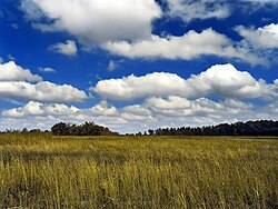 Nubes Cumulus humilis indicadoras de buen tiempo