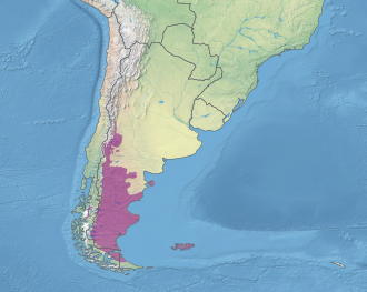 Mapa detallado de la ecorregión terrestre estepa patagónica