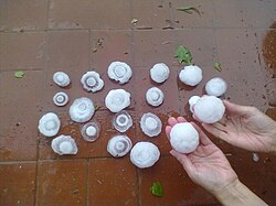 Tipos de granizos obtenidos en la localidad de Colonia Caroya, Provincia de Córdoba, Argentina.