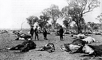 Imagen histórica en blanco y negro de una pradera afectada