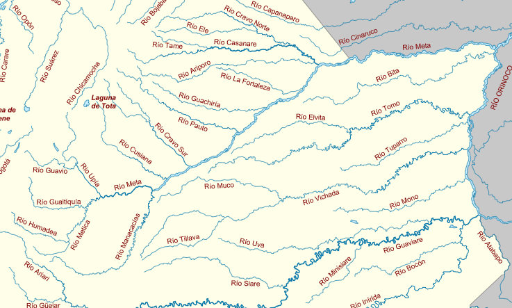 Esquema de los afluentes del río Meta