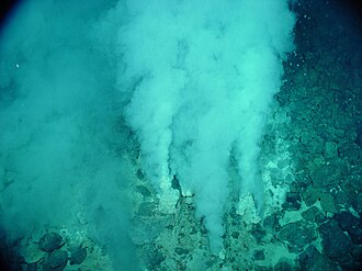 Microorganismos fósiles en rocas de fuentes hidrotermales