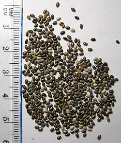 En el mundo vegetal y con un porcentaje del 58-65% en omega-3, las semillas de Salvia hispánica (Chía) posee la concentración más alta de omega-3 conocida hasta el momento.