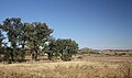 Paisaje rural en la provincia de Edirne