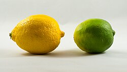Frutos de Citrus aurantifolia y Citrus limon