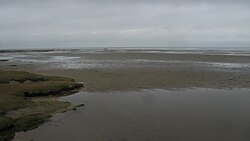 Marisma salada y llanura de marea en Westerhever