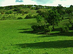 Campiña en Tudela de Duero