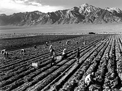 Fotografía de Ansel Adams titulada Trabajadores frente al Monte Williamson.