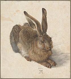 Acuarela y gouache de la Liebre joven pintada por Durero en 1502.